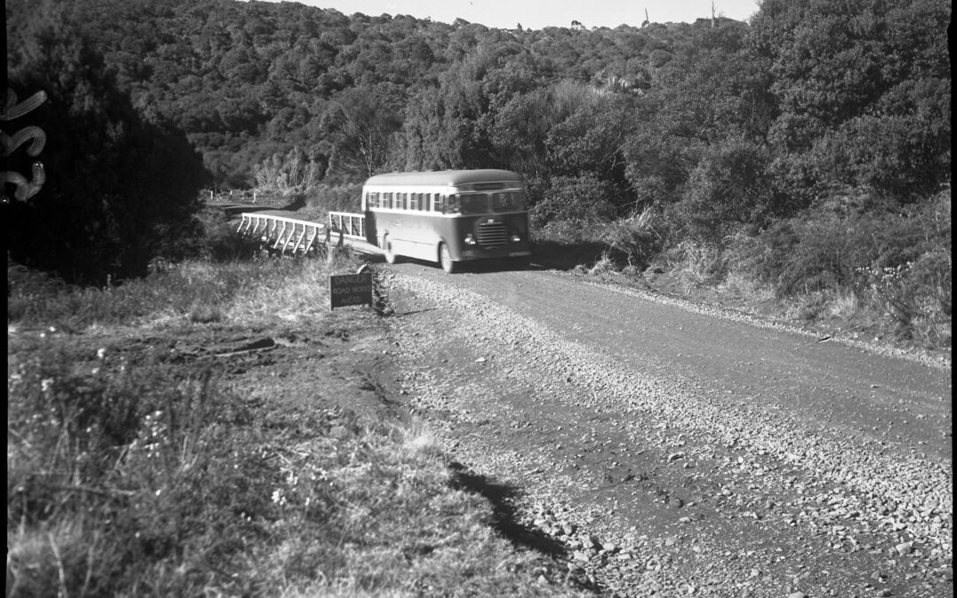 Reminisces of Waiatarua