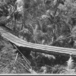 View of a section of a wooden bush tramway over a small gully in the Waitakere Ranges. This was the tramway for Mander and Bradley's sawmill which was situated in the upper Nihotupu Stream valley. Historical note: For more information about Mander and Bradley's mill see Ben Copedo's research document: Mander and Bradley's Sawmill Workings in the Upper Nihotupu Valley, 1895-1899, (2011).Auckland Libraries Heritage Collections JTD-08C-01037-1